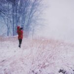 resized_37_fallback
