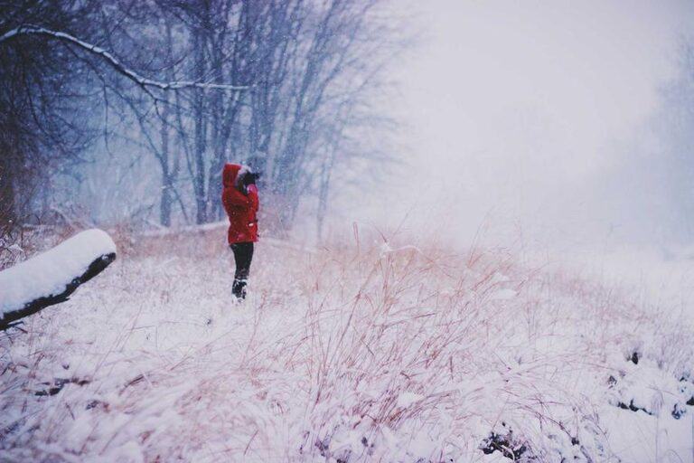 resized_37_fallback